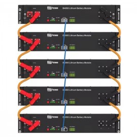 Акумуляторна батарея Dyness B4850 48V 2.4кВт LiFePO4 (літієва)